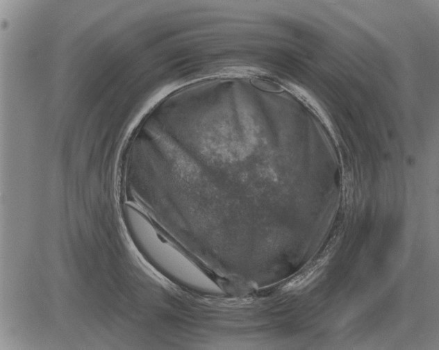 X0000084030851200703022121