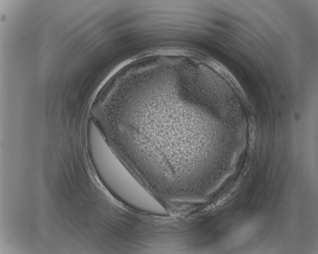 X0000084030852200703022121