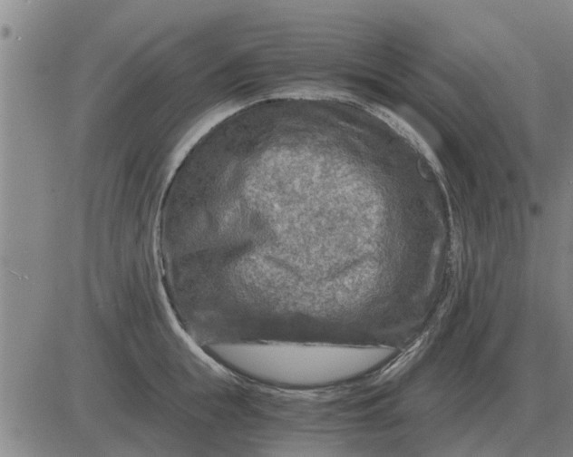 X0000084030855200703022121