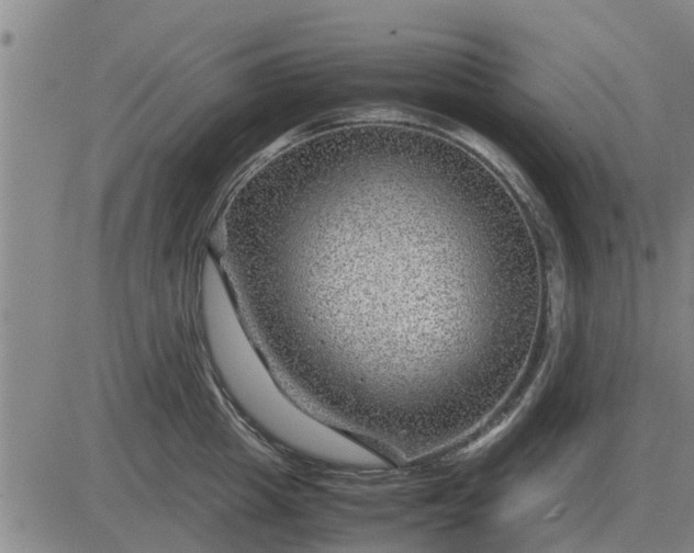 X0000084030857200703022121