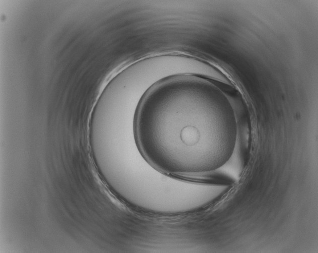 X0000084030858200703022121