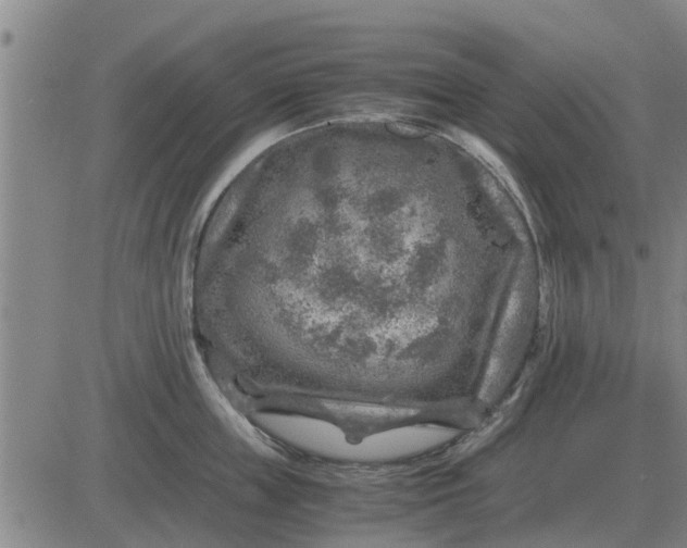 X0000084030859200703022121