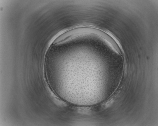 X0000084030861200703022121