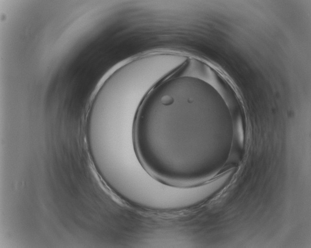 X0000084030862200703022121