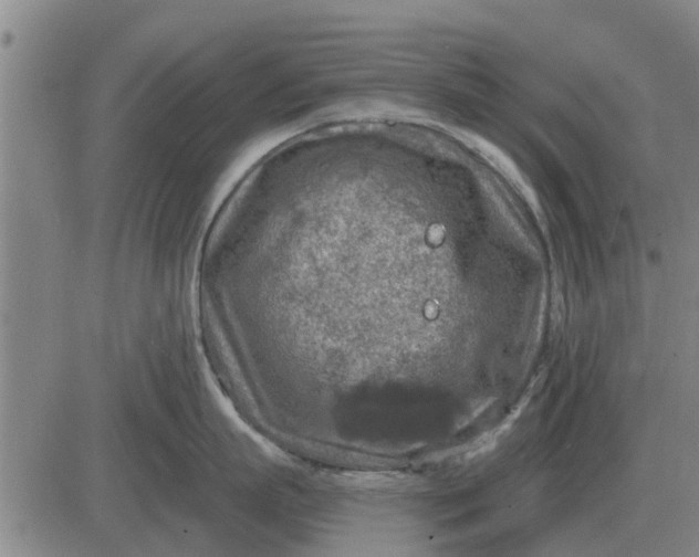 X0000084030863200703022121