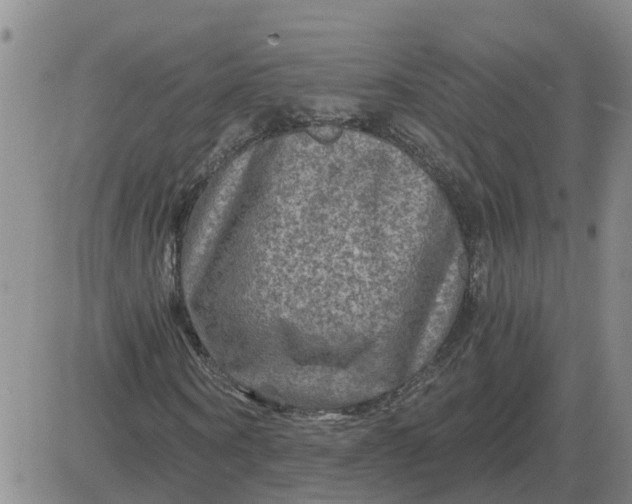 X0000084030866200703022120