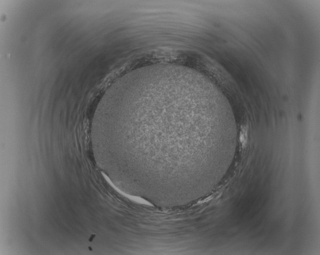 X0000084030867200703022120