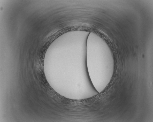 X0000084030869200703022120