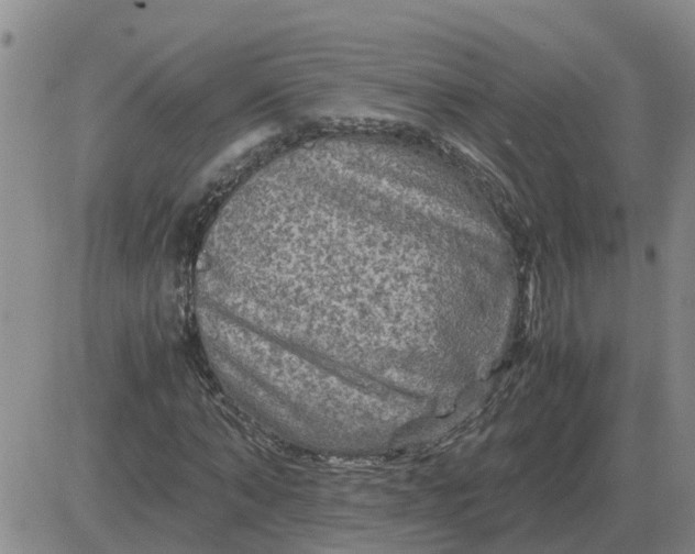 X0000084030870200703022120