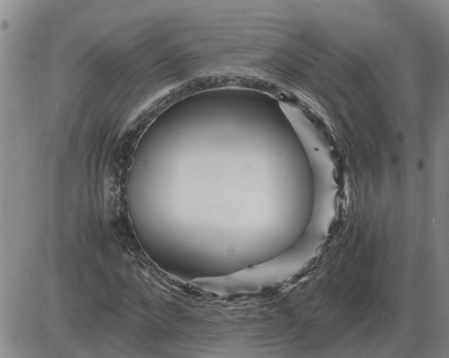 X0000084030872200703022120