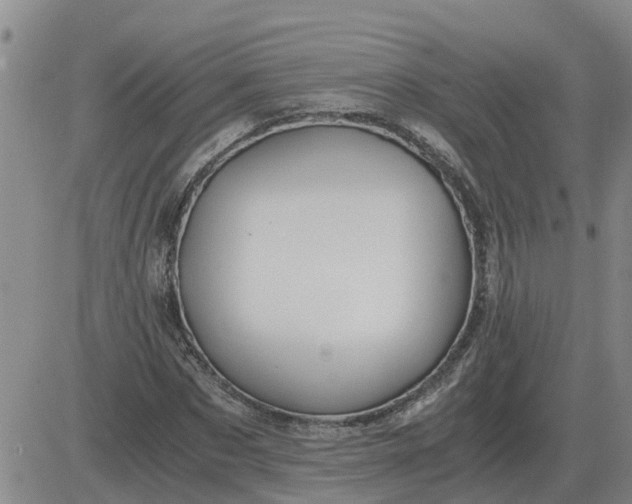 X0000084030873200703022120