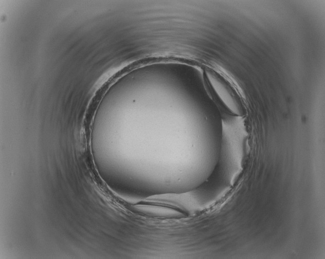 X0000084030876200703022120