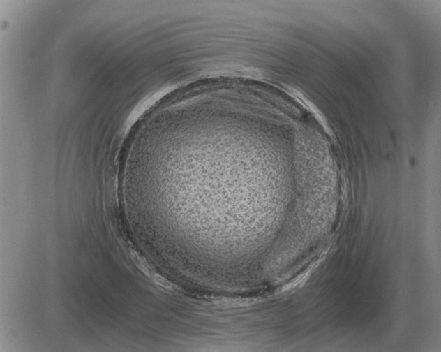 X0000084030877200703022120