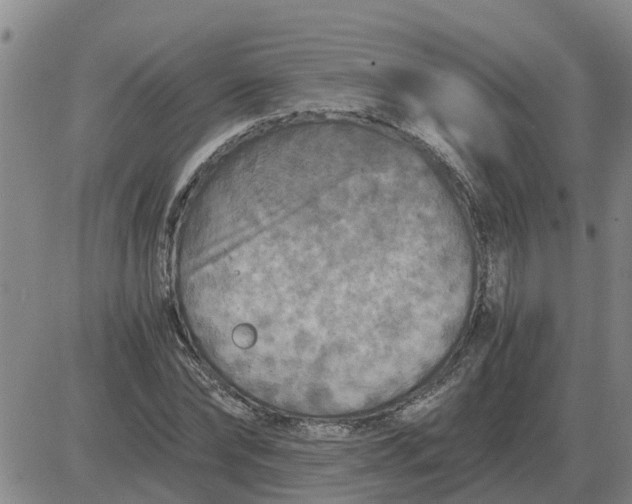 X0000084030878200703022120