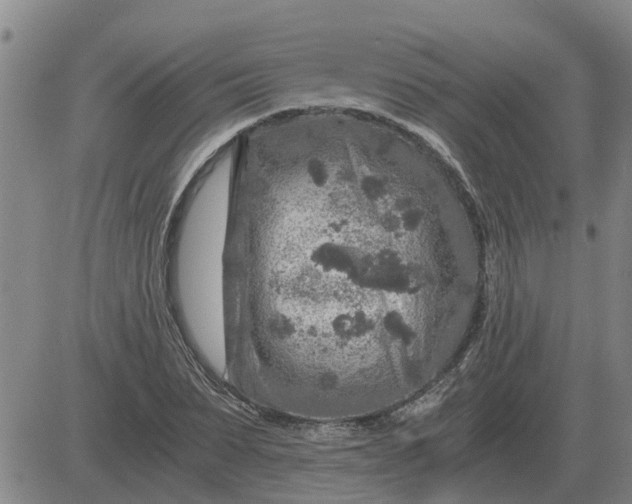 X0000084030879200703022120