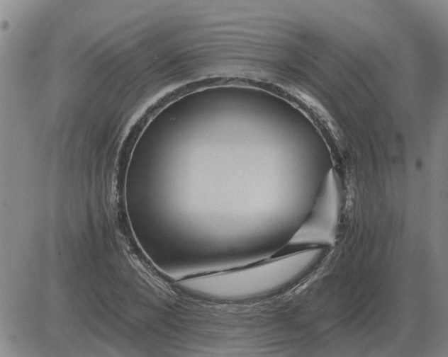 X0000084030880200703022120