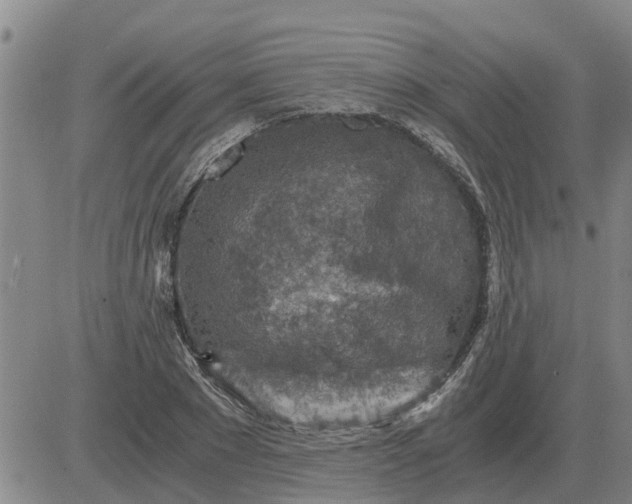 X0000084030881200703022120