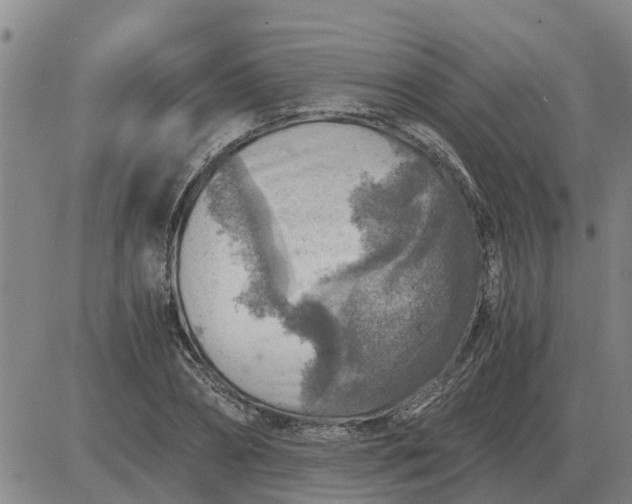 X0000084030882200703022120