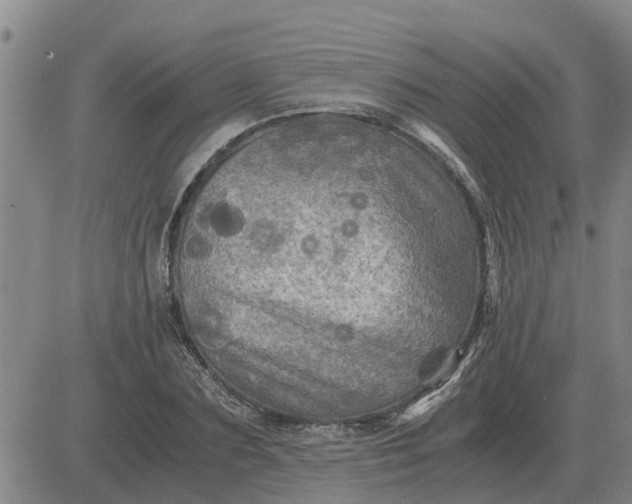 X0000084030883200703022120