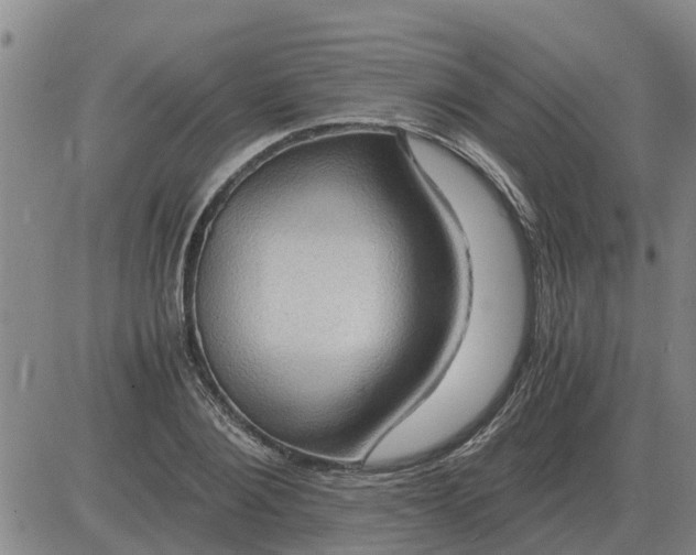 X0000084030884200703022120