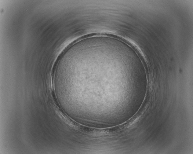 X0000084030887200703022120