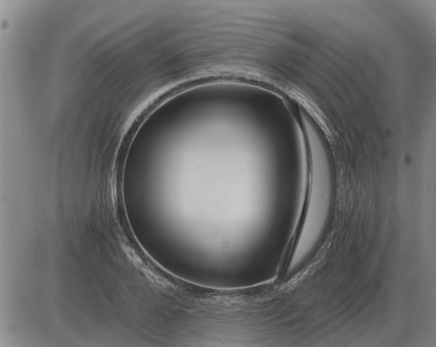 X0000084030888200703022120