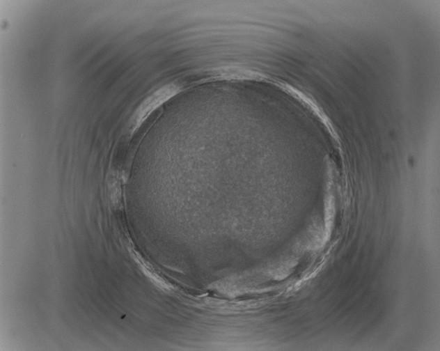 X0000084030889200703022120