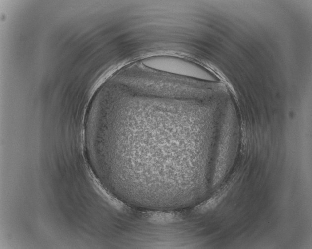 X0000084030890200703022120