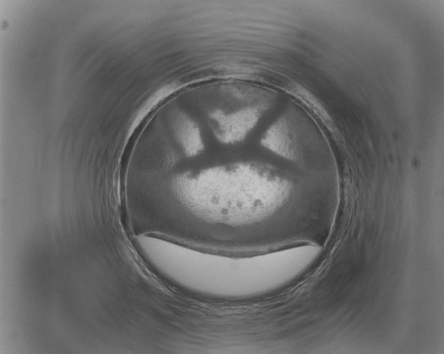 X0000084030891200703022120