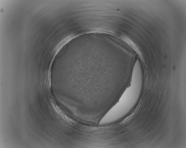 X0000084030892200703022119