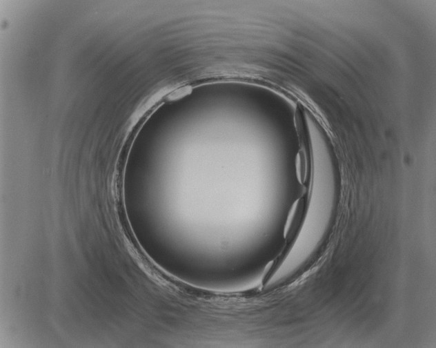 X0000084030893200703022119