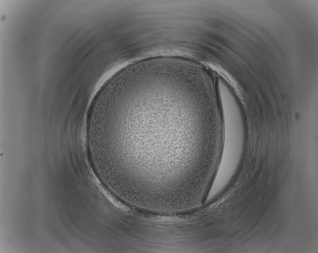 X0000084030894200703022119