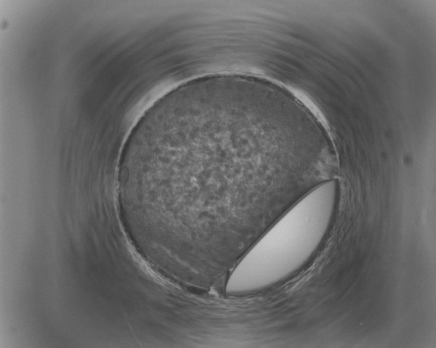 X0000084030895200703022119