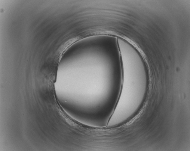 X0000084030897200703022119