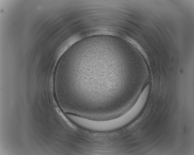 X0000084030898200703022119