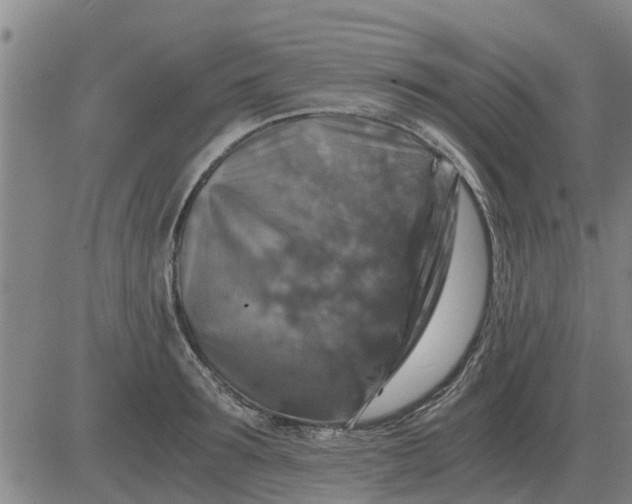 X0000084030899200703022119