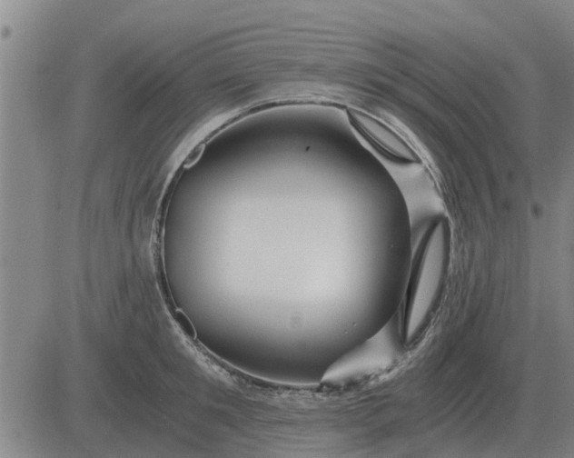 X0000084030901200703022119