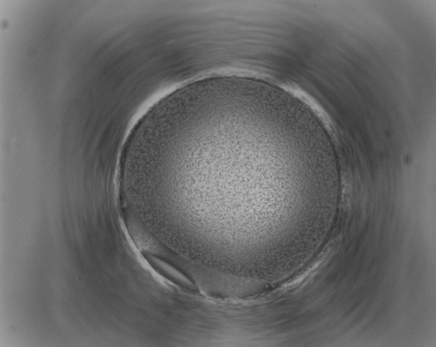 X0000084030902200703022119