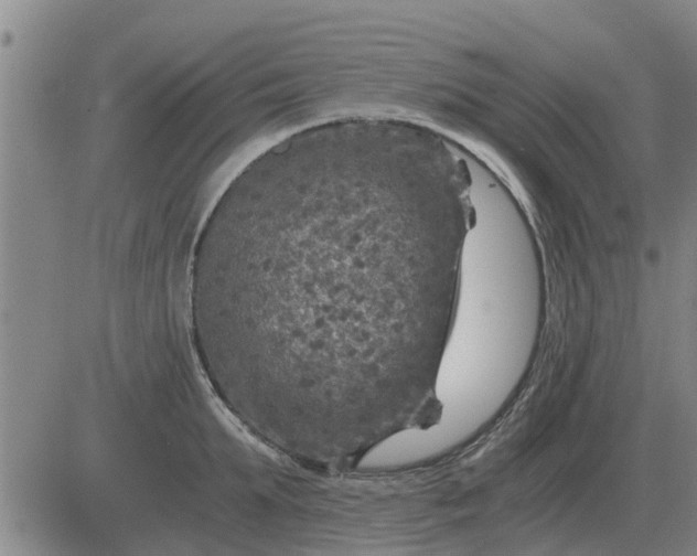 X0000084030903200703022119