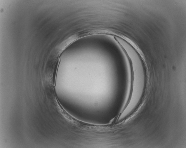 X0000084030905200703022119