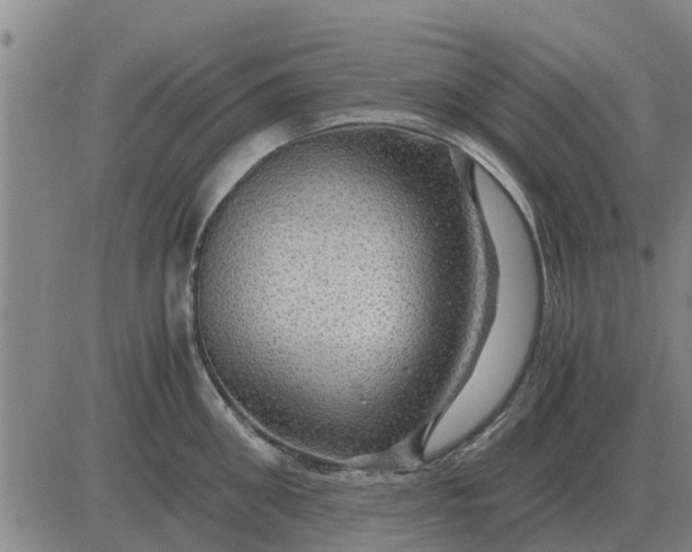 X0000084030906200703022119