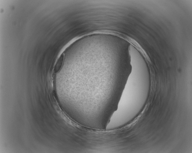 X0000084030908200703022119