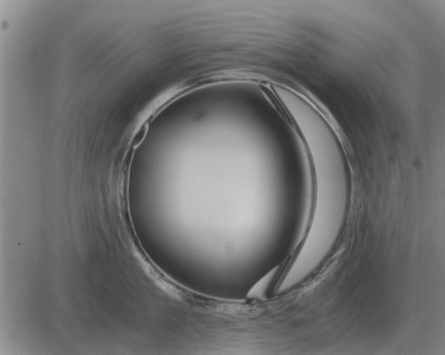 X0000084030909200703022119