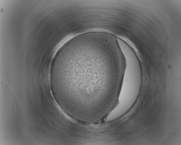 X0000084030910200703022119