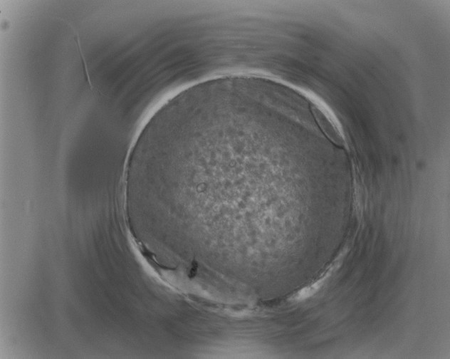 X0000084030911200703022119