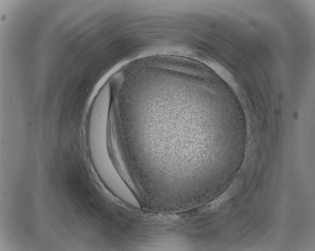 X0000084030912200703022119