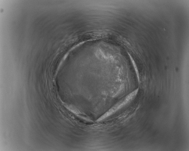 X0000084030913200703022118