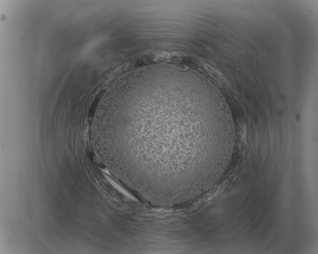 X0000084030914200703022118