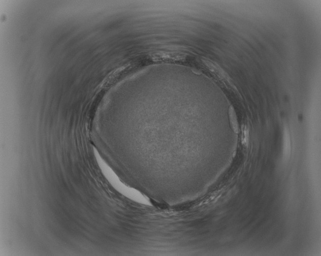 X0000084030915200703022118