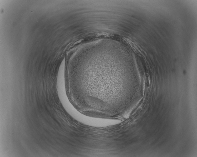 X0000084030916200703022118